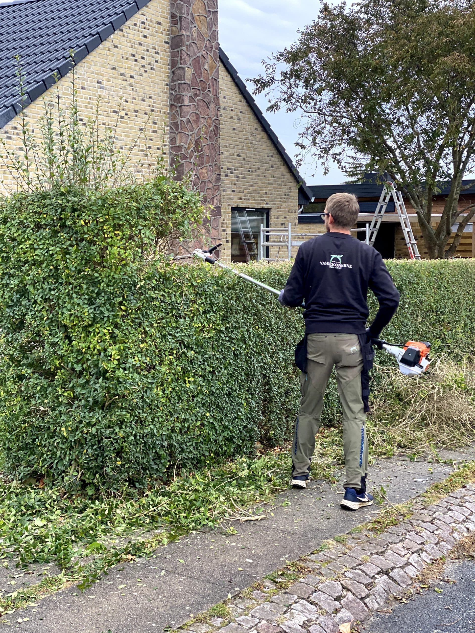 Beskæring